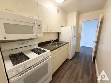 Chicago apartment kitchen