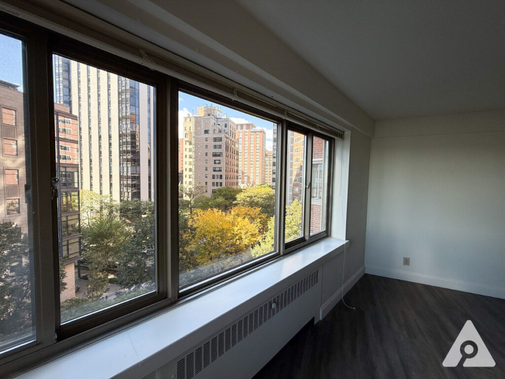 Chicago apartment living room