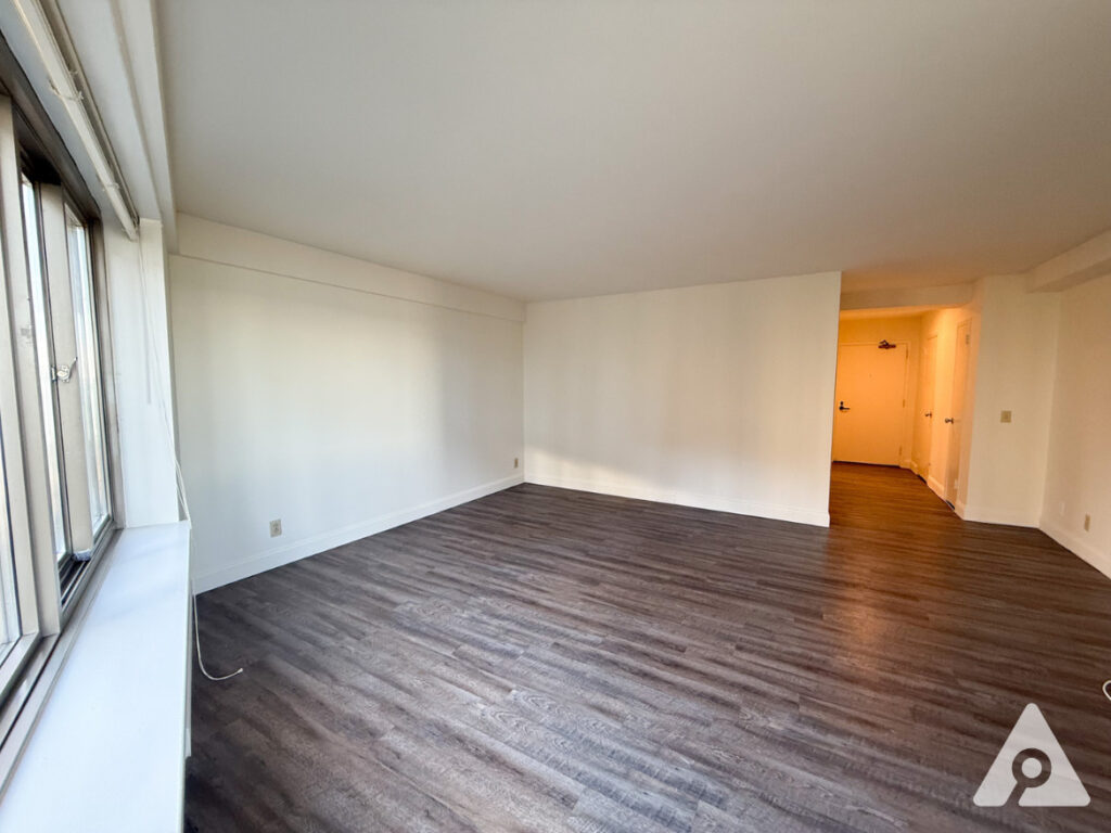 Chicago apartment living room