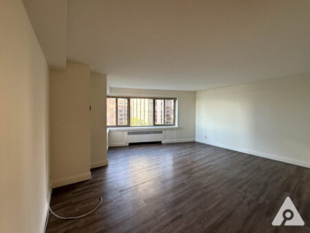 Chicago apartment living room