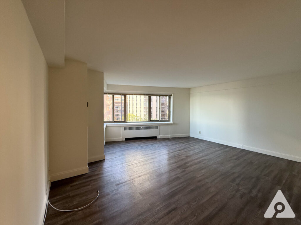 Chicago apartment living room