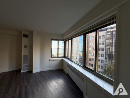 Chicago apartment living room