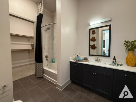 Dallas Apartment Bathroom