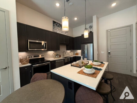 Dallas Apartment Kitchen