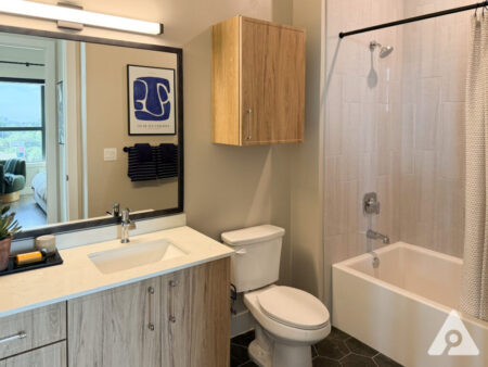 Houston Apartment - Secondary Bathroom