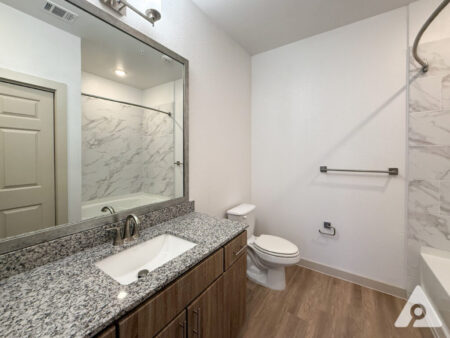 San Antonio Bathroom