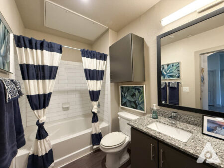 San Antonio Bathroom (2)