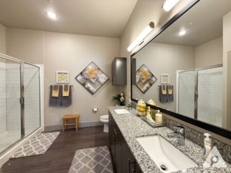 San Antonio Bathroom