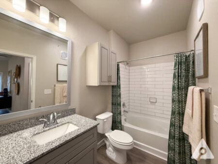 San Antonio Bathroom