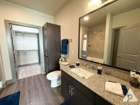 San Antonio Bathroom