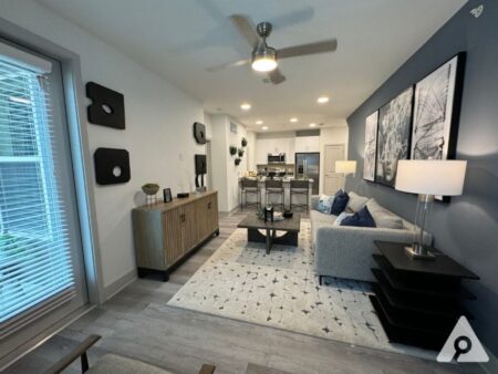 Fort Worth Apartment - Living Room