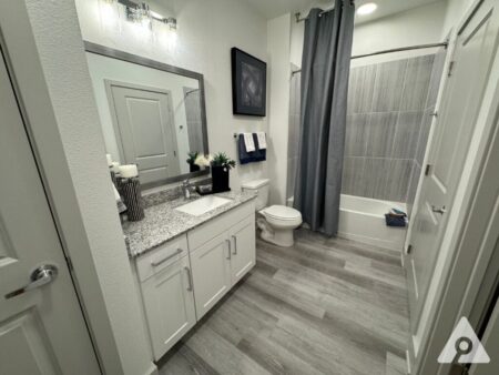 Fort Worth Apartment - Bathroom
