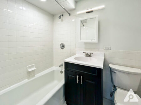 Chicago Apartment bathroom