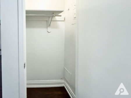 Chicago Apartment closet
