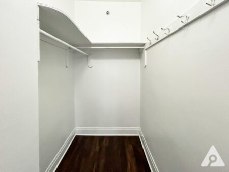 Chicago Apartment closet