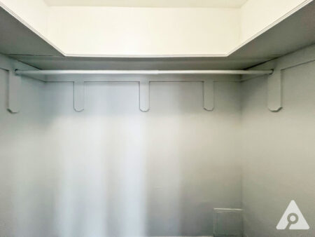 Chicago Apartment closet