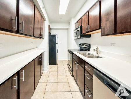 Chicago Apartment kitchen