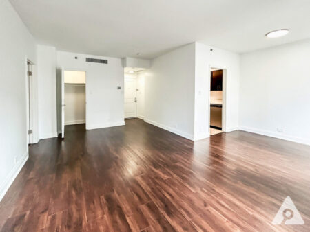 Chicago Apartment living room