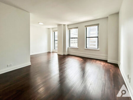 Chicago Apartment living room