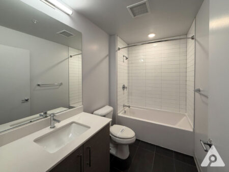 Chicago apartment bathroom 1