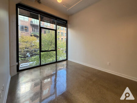 Chicago apartment living room