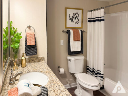 Houston Apartment - Bathroom