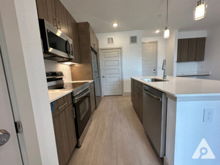 Houston Apartment Kitchen