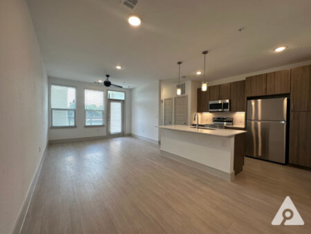 Houston Apartment Living Room