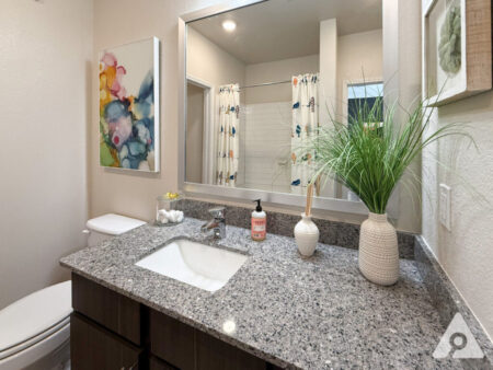 San Antonio Bathroom