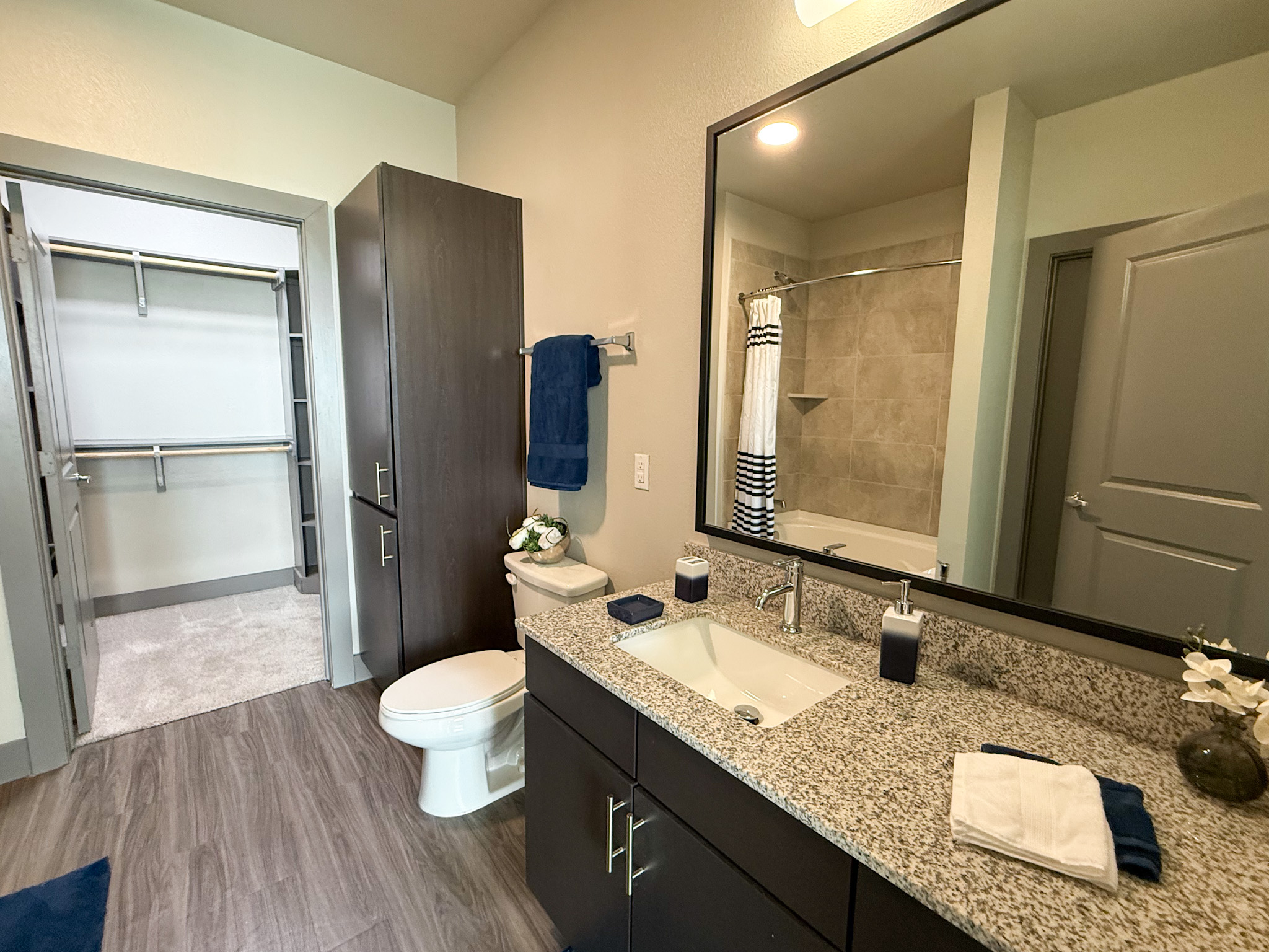 Modern San Antonio apartment bathroom with grey finshes