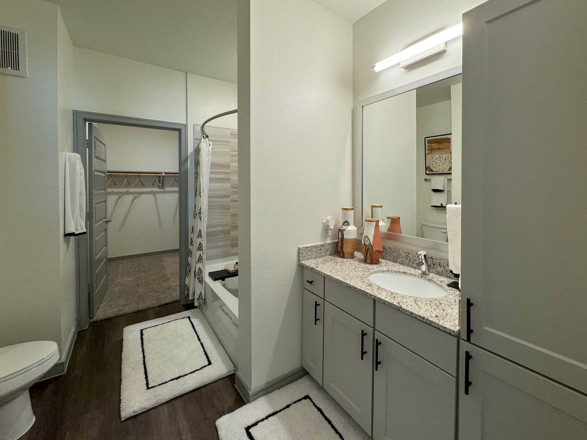 Fort Worth Apartment bathroom 2