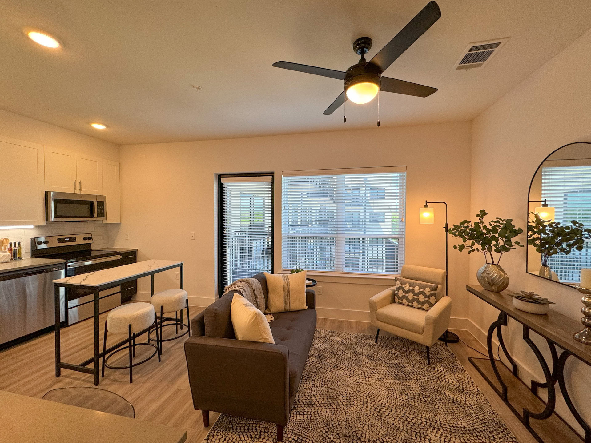 Fort Worth Apartment Living Room