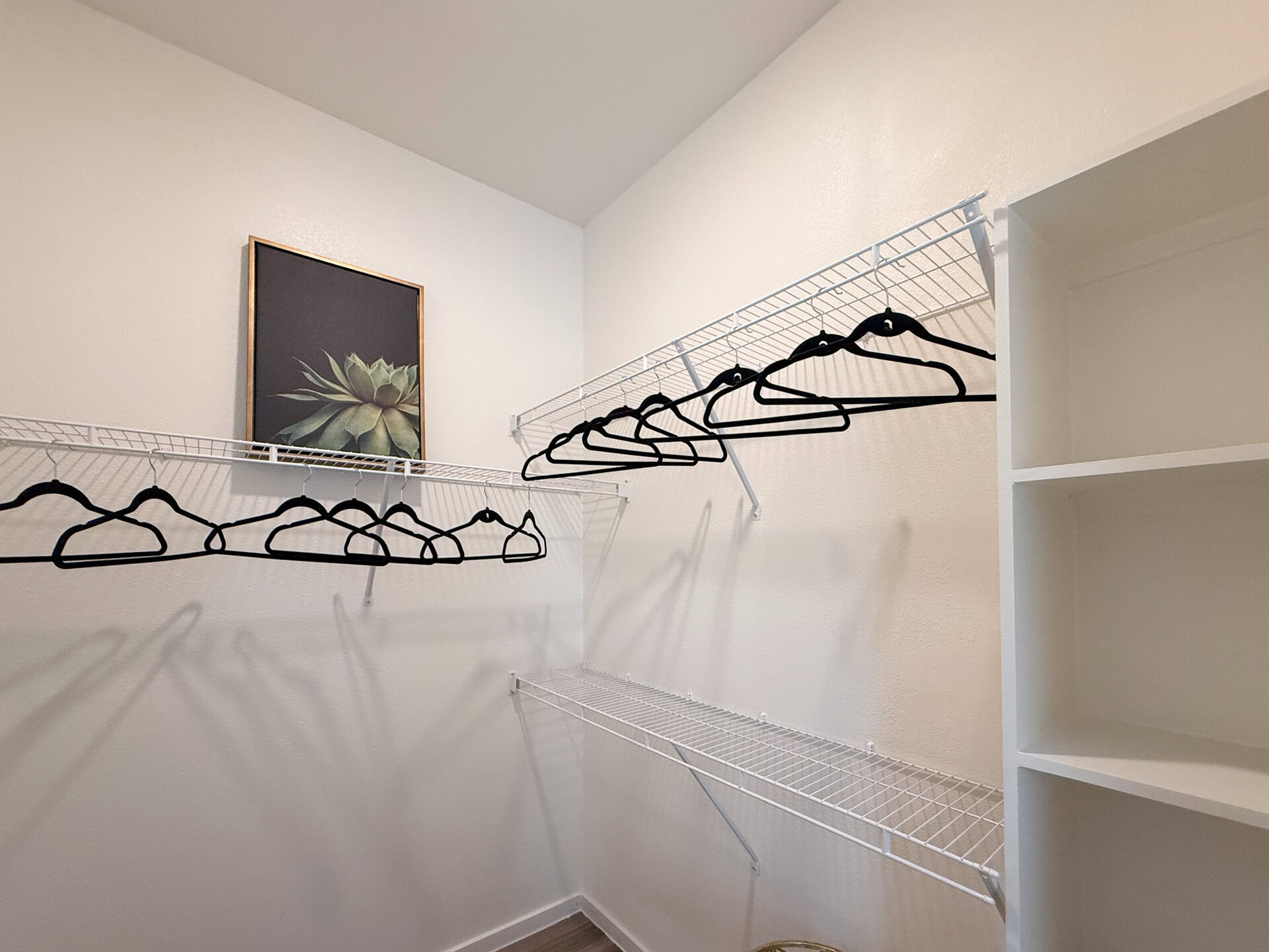 Spacious closet with shelves