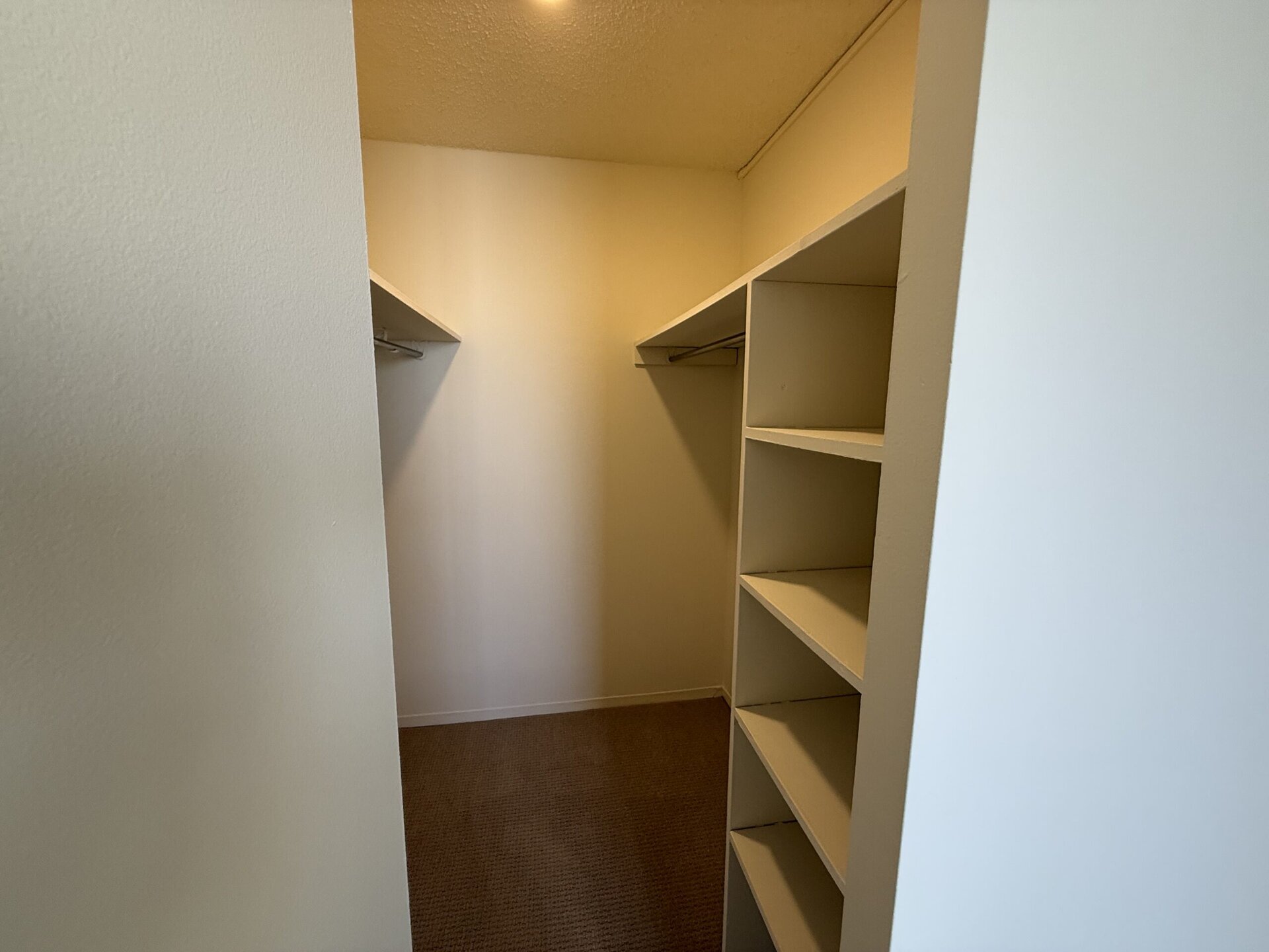 A spacious walk-in closet featuring two hanging rods on the left side and a set of open shelves on the right. The walls are painted a light color, and the floor is covered with a neutral carpet. The overall lighting is soft, creating a bright and airy atmosphere.