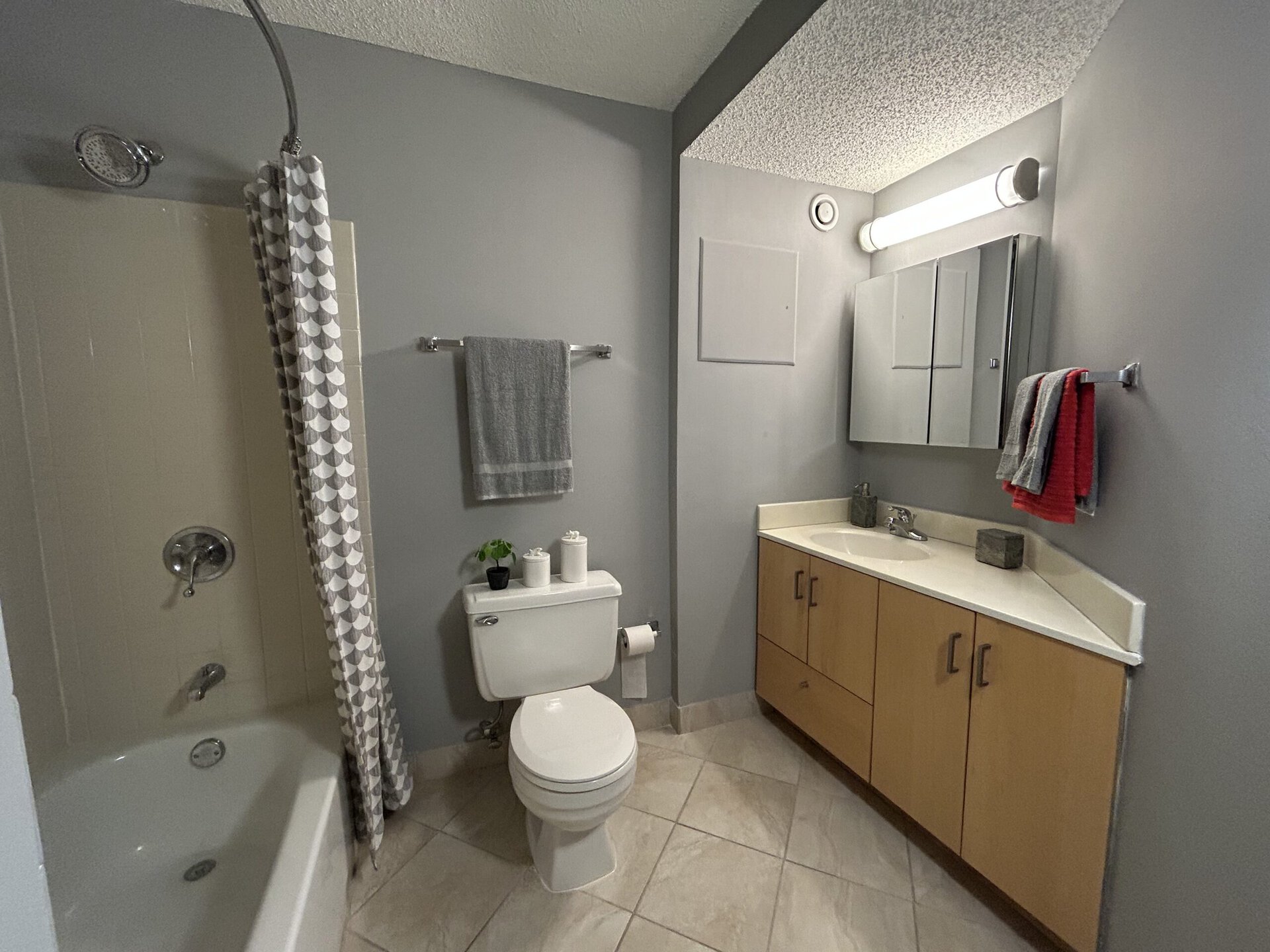 A modern bathroom features a shower area with a light-colored shower curtain displaying a geometric pattern. The space includes a white toilet and a light wood vanity with a cream countertop. Above the vanity, there is a mirrored cabinet and a light fixture. A gray towel hangs on a rack, and decorative items, including a small plant and two white containers, are placed on the countertop. The walls are painted a soft gray, and the floor is tiled in a light color.