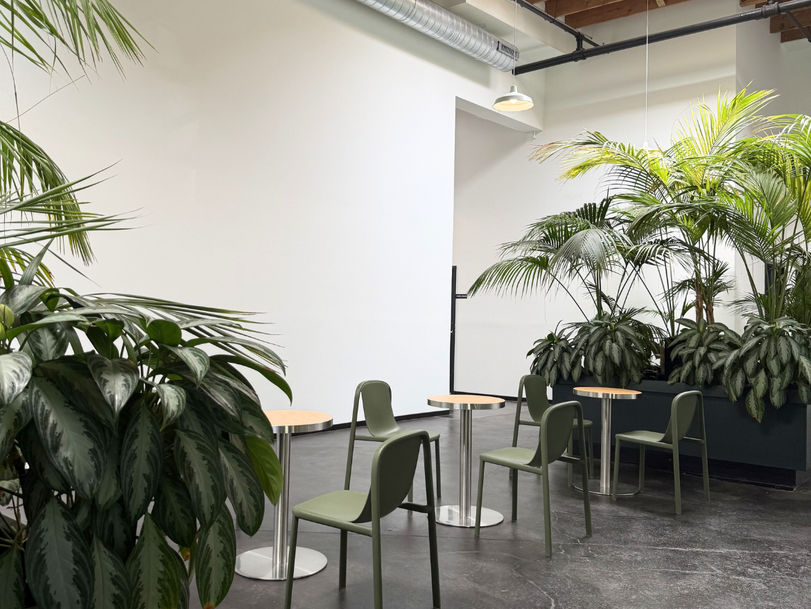 A modern indoor space features several small round tables with light wooden tops and sleek metal bases. Surrounding the tables are green chairs with a minimalist design. Lush greenery, including large potted plants, adds a vibrant touch to the environment, creating a fresh and inviting atmosphere. The walls are white, and the flooring is dark, enhancing the overall contemporary aesthetic.