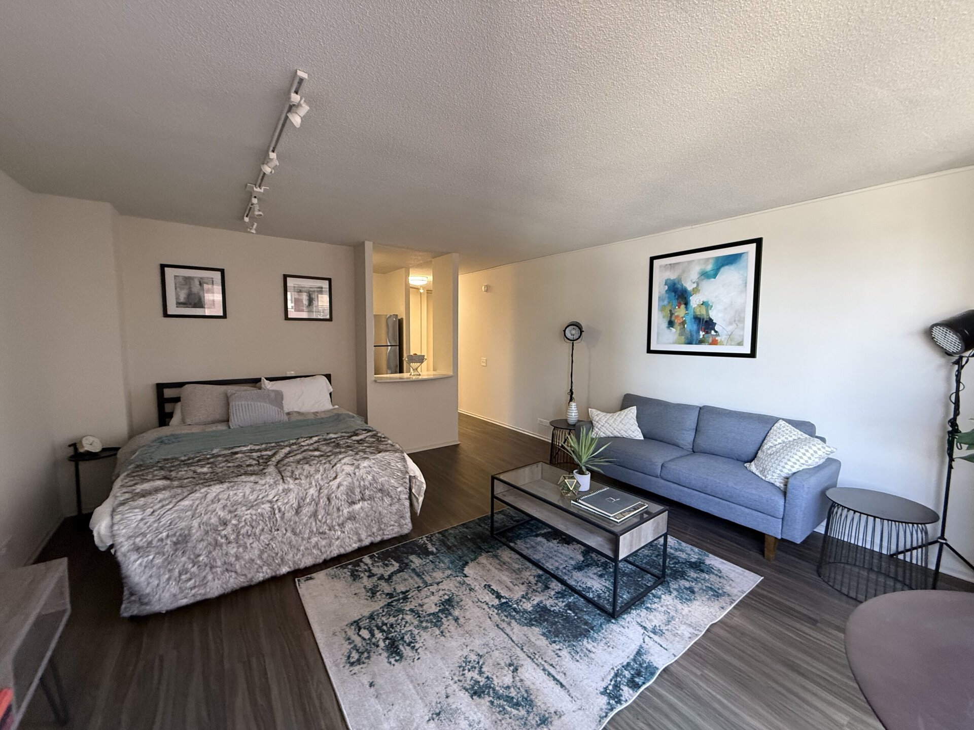 A cozy studio apartment features a bed with a textured gray and white blanket, complemented by a light blue throw pillow. Nearby, a gray sofa with decorative cushions sits across from a glass coffee table on a patterned rug. The room is illuminated by track lighting and includes framed artwork on the walls. A small side table and a floor lamp add to the decor, while a kitchenette is visible in the background, showcasing stainless steel appliances.