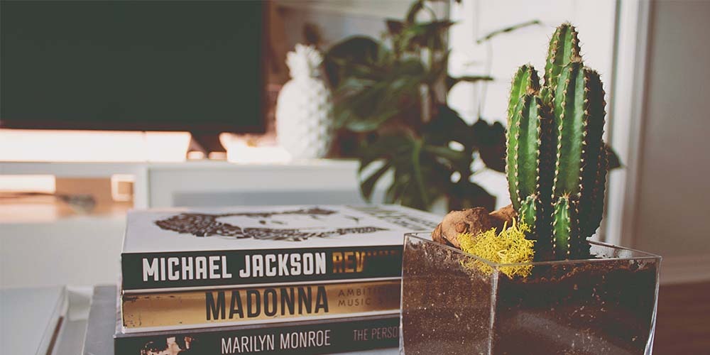 cactus plant on coffee table
