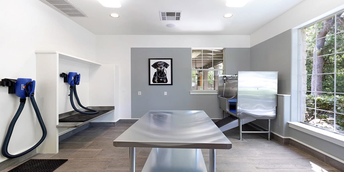 Austin luxury apartment amenity